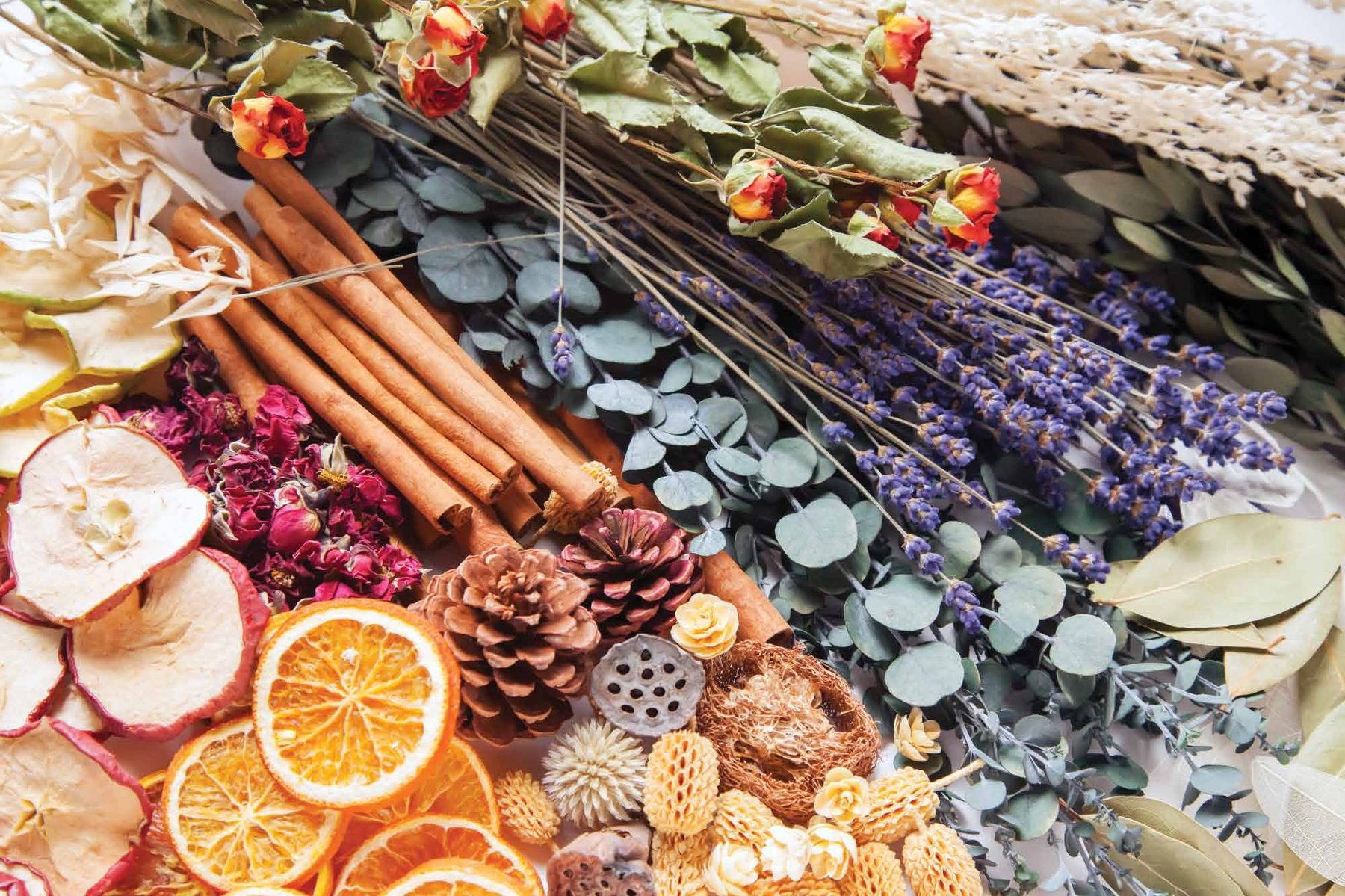 Dried flowers, orange slices, pine cones and eucalyptus